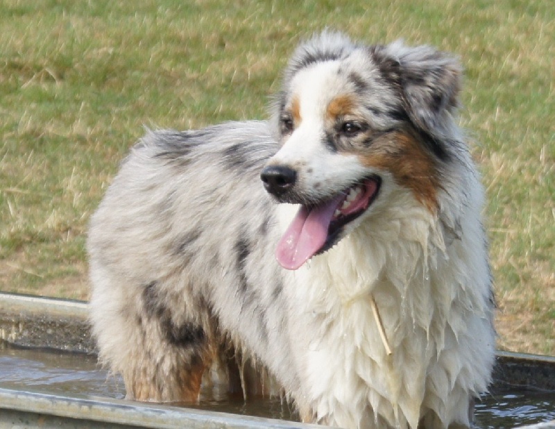 Give me your heart du Grand Germancé