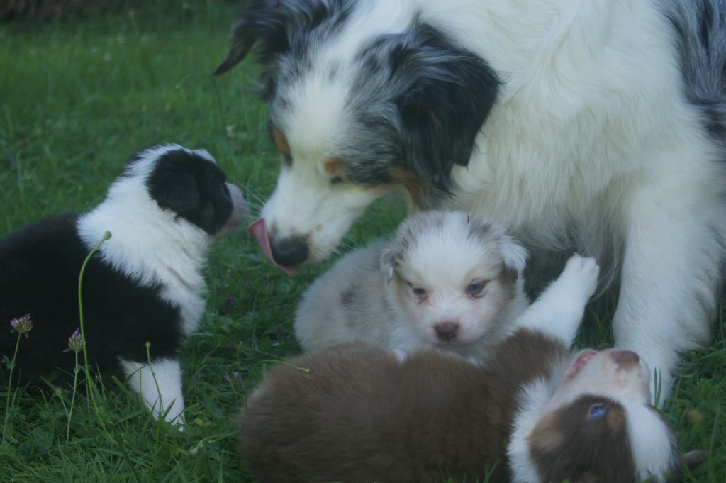 Les premiers bébés de SIDNEY